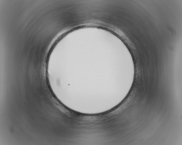 X0000112871232200910021325