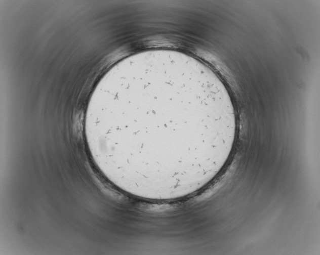 X0000112871233200910021325