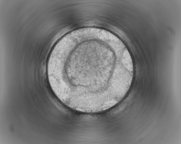 X0000112871234200910021325