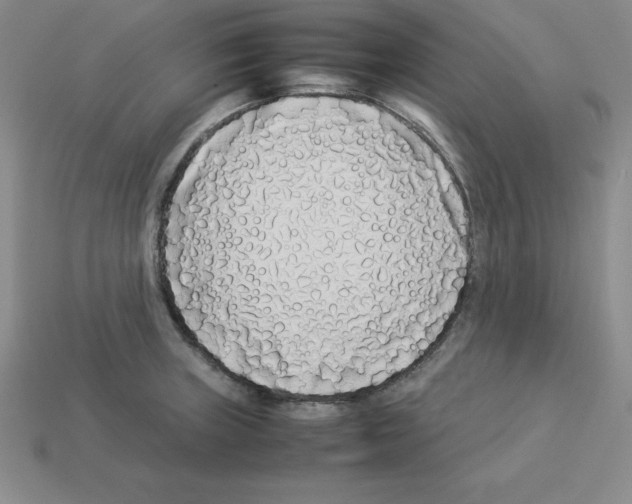 X0000112871235200910021325