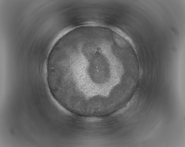 X0000112871239200910021326