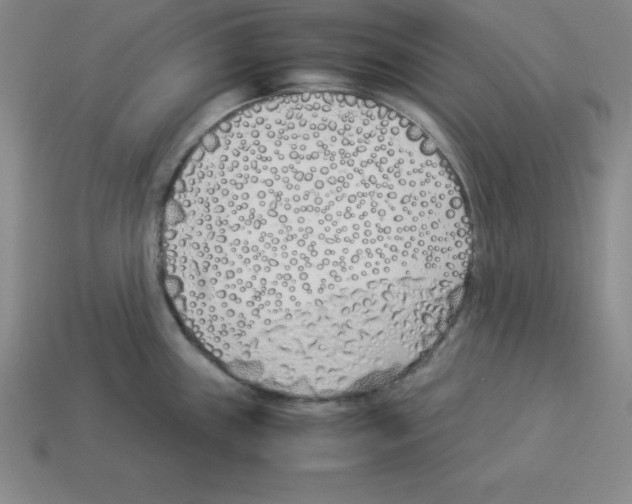 X0000112871243200910021326