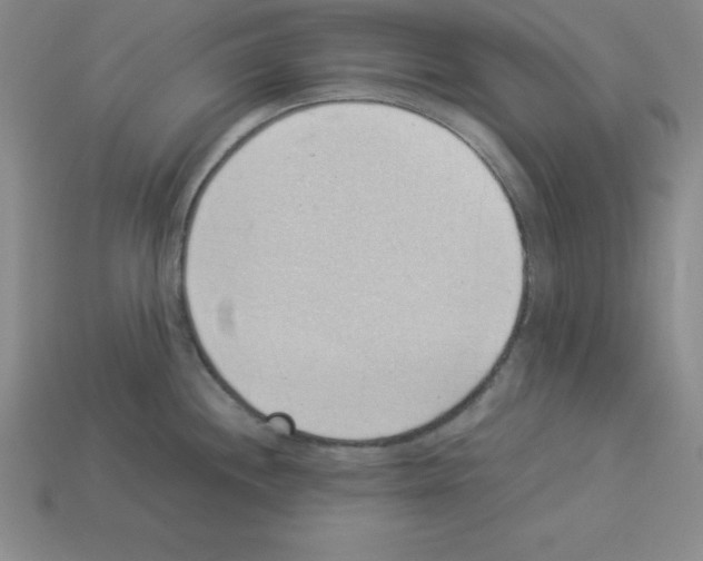 X0000112871244200910021326