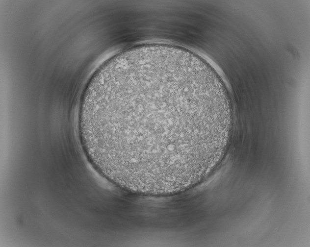 X0000112871245200910021326