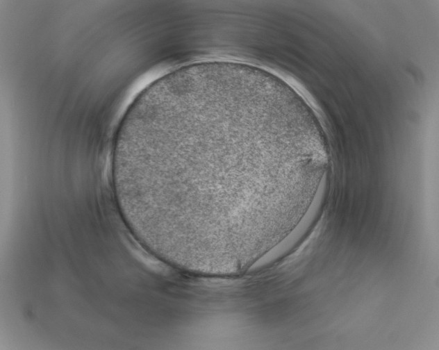 X0000112871246200910021326