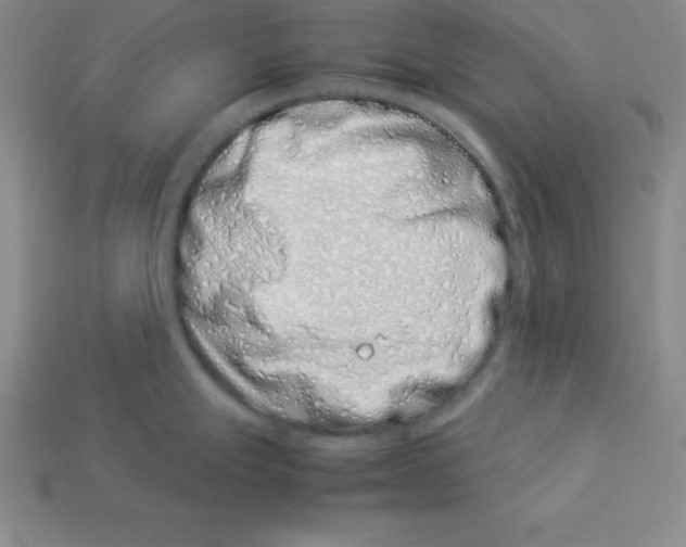 X0000112871247200910021326