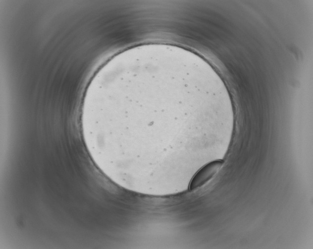 X0000112871248200910021326