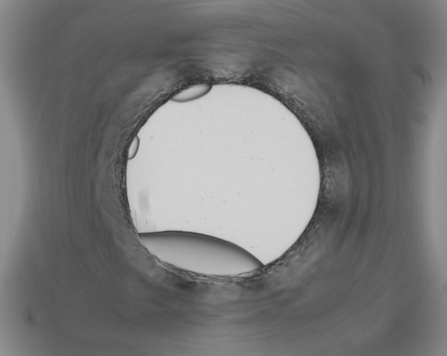 X0000112871249200910021325