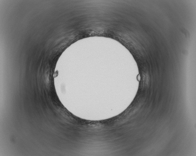 X0000112871250200910021325