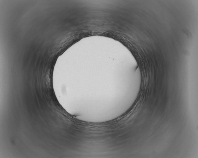 X0000112871252200910021325