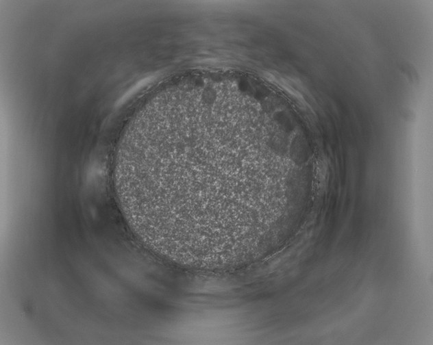 X0000112871254200910021325