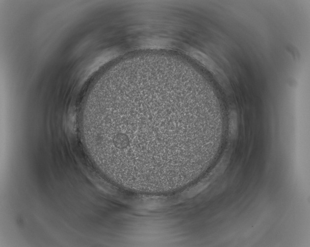 X0000112871258200910021325