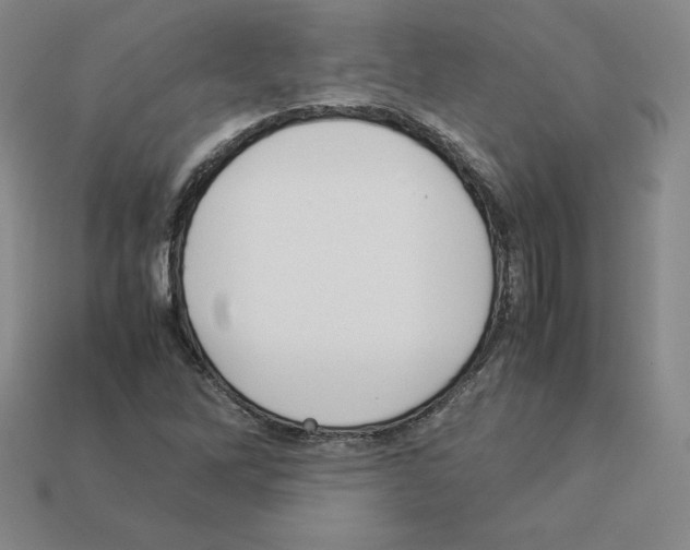 X0000112871262200910021325