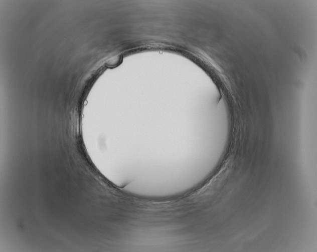 X0000112871269200910021325