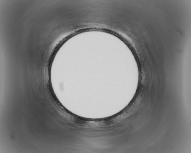 X0000112871271200910021325