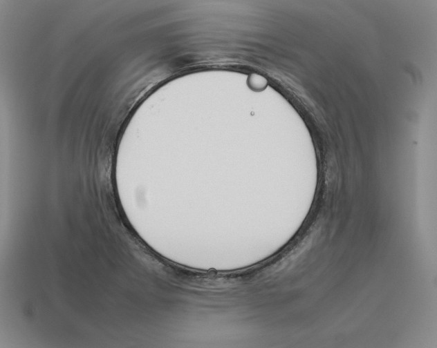 X0000112871273200910021325