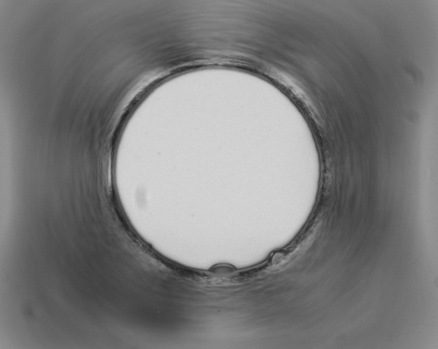 X0000112871275200910021325