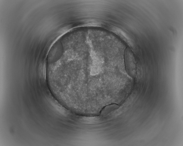 X0000112871276200910021325