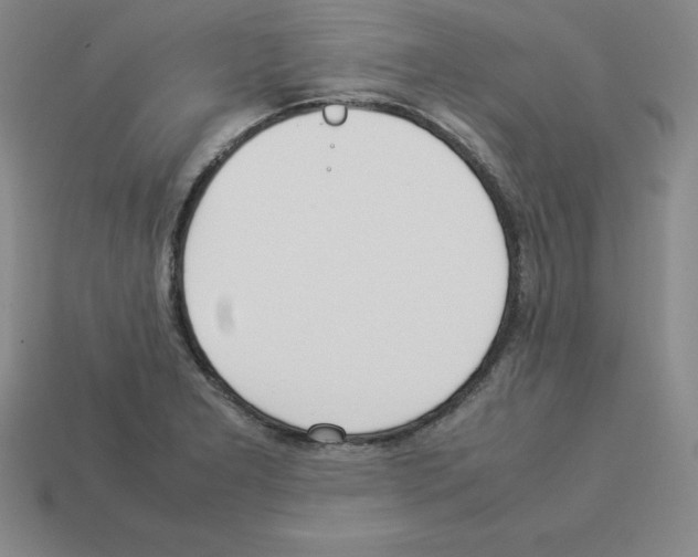 X0000112871277200910021325