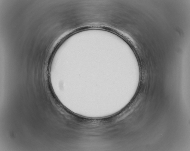 X0000112871279200910021325