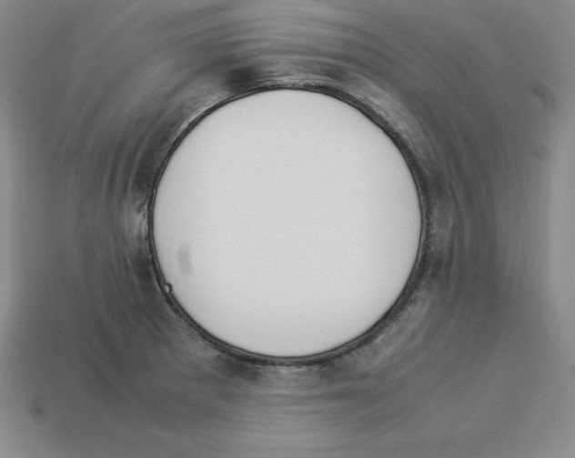 X0000112871281200910021325