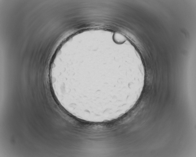 X0000112871283200910021325