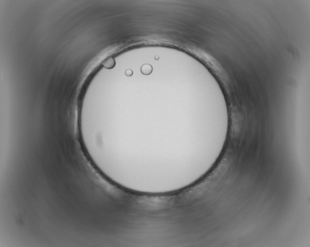 X0000112871286200910021325