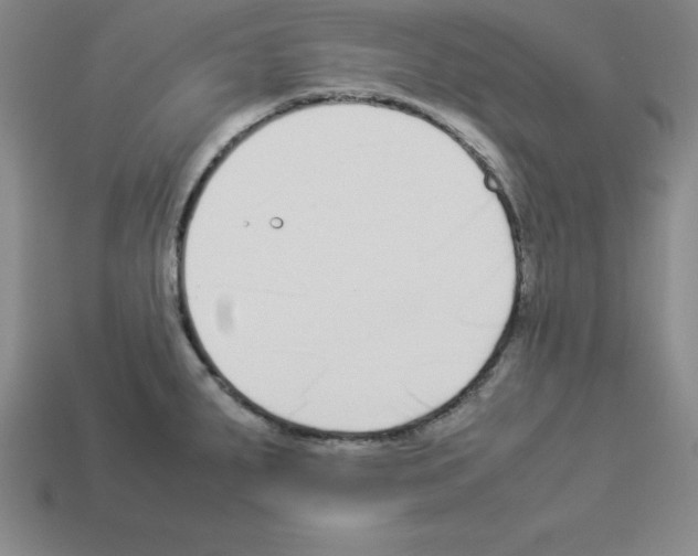 X0000112871287200910021325