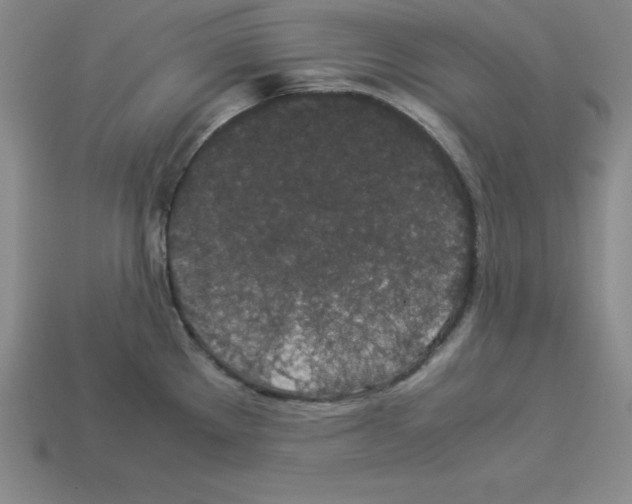 X0000112871289200910021325