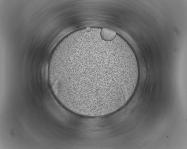 X0000112871290200910021325