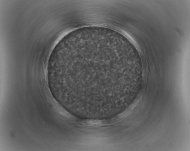 X0000112871291200910021325