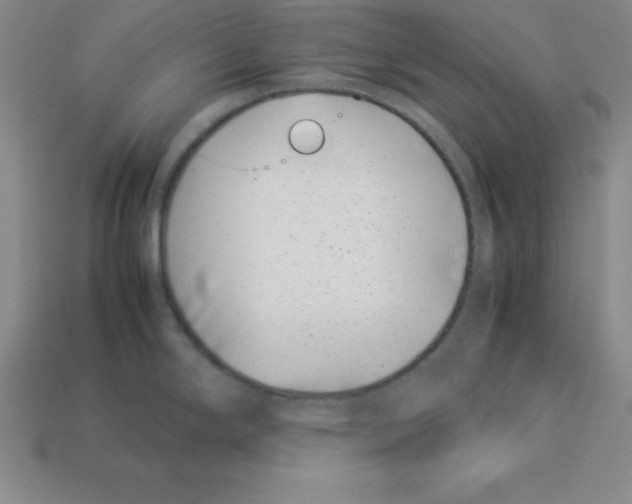 X0000112871294200910021324