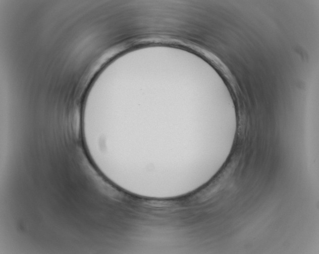 X0000112871295200910021324