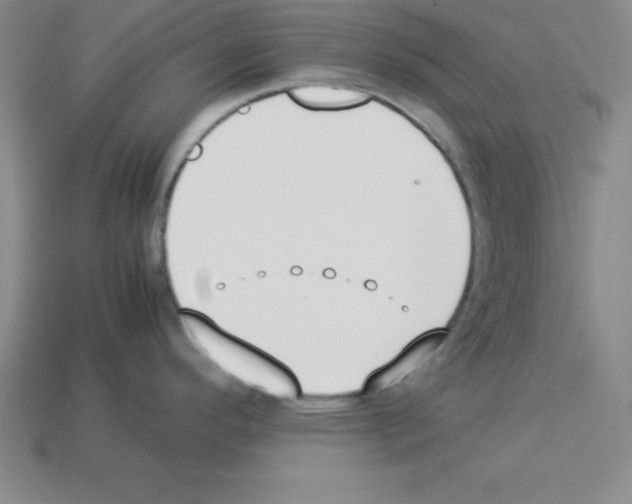 X0000112871296200910021324