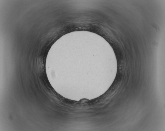 X0000112871298200910021324