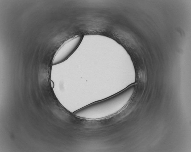 X0000112871300200910021324