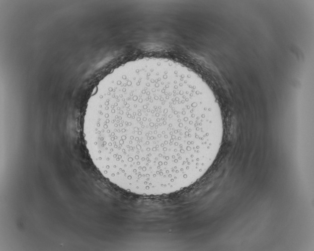 X0000112871301200910021324