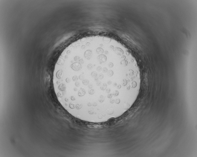 X0000112871302200910021324