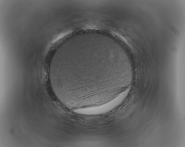 X0000112871303200910021324