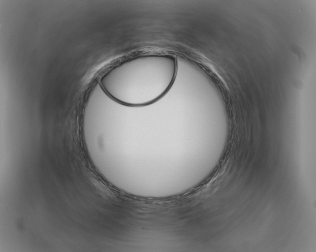 X0000112871304200910021324