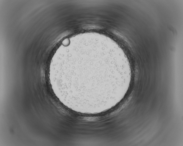 X0000112871305200910021324