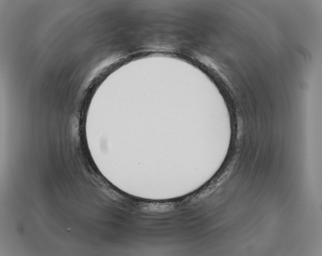 X0000112871307200910021324