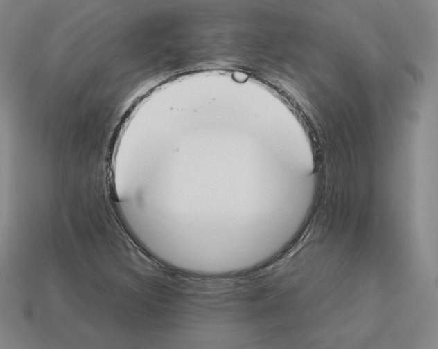 X0000112871308200910021324