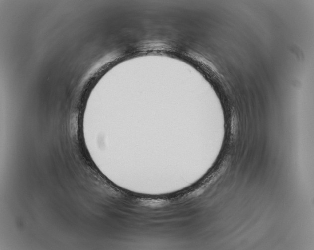 X0000112871309200910021324