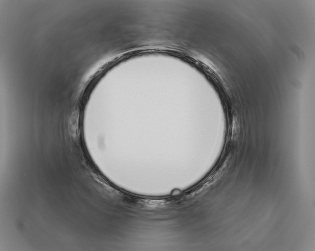 X0000112871310200910021324