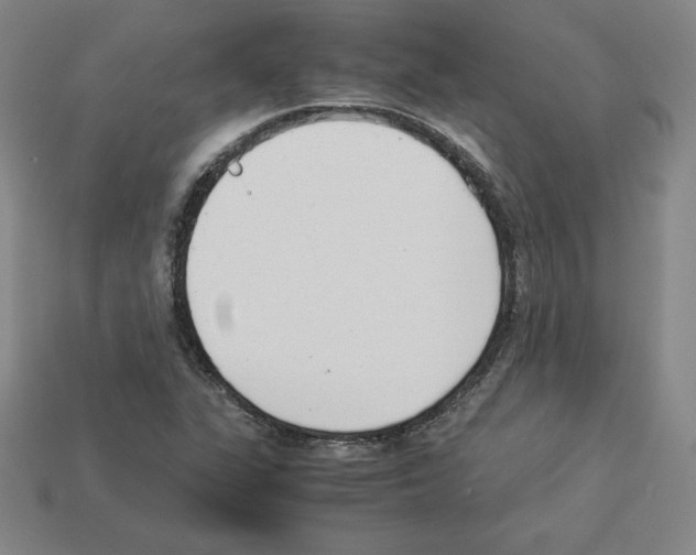 X0000112871311200910021324