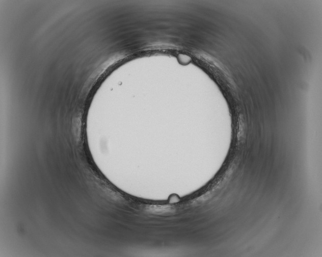 X0000112871313200910021324