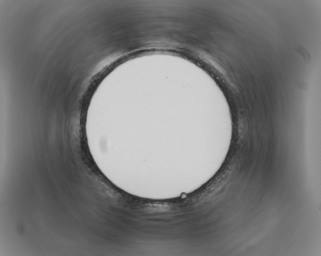 X0000112871315200910021324