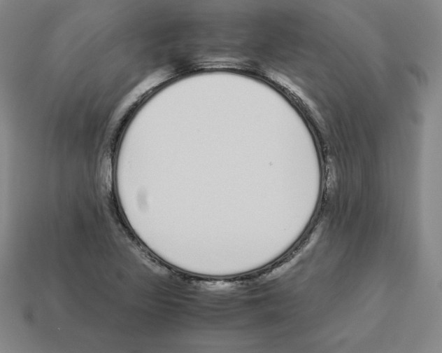 X0000112871317200910021324