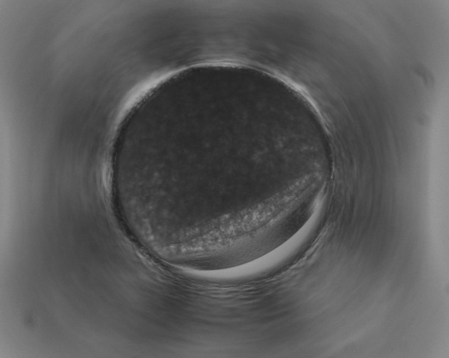 X0000112871319200910021324